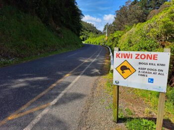 Kiwi Zone in Wainuiomata Regional Park - 2023 - © wainuiomata.net