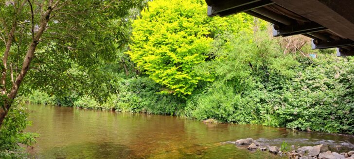 Wainuiomata River Passing underneath the Main Road Bridge - 2023 - © wainuiomata.net