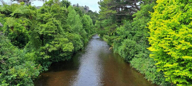 Wainuiomata River Homedale - 2023 - © wainuiomata.net
