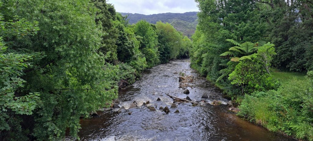 Wainuiomata River and Rotary Park