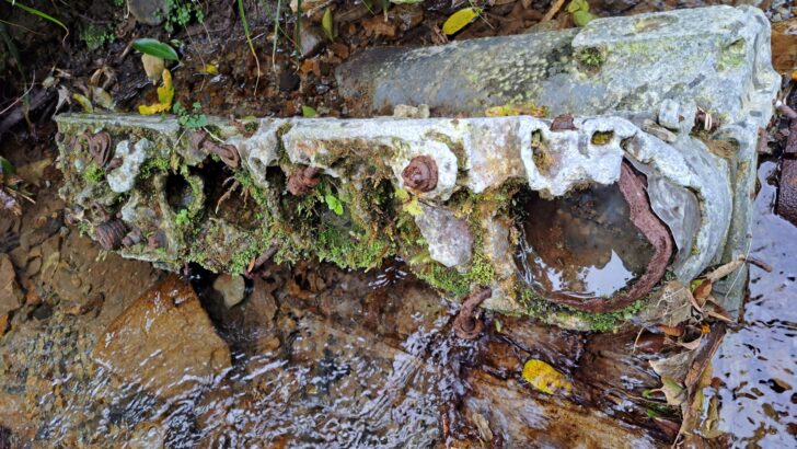 V12 Allison Motor from Curtiss P-40E Kittyhawk - 2023 - © wainuiomata.net