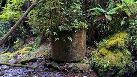 Concrete Cylinder at Skerretts Creek in 2024 - © wainuiomata.net