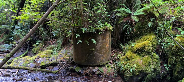 Concrete Cylinder at Skerretts Creek in 2024 - © wainuiomata.net