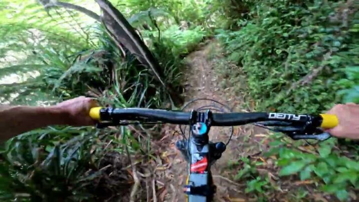 Morepork Mountain Bike Trail