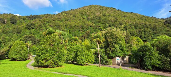 Lower Dam Area - 2023 - © wainuiomata.net