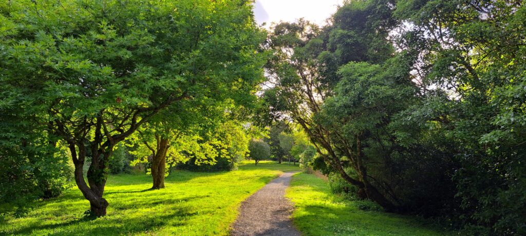 Walking Path through Poole Crescent Reserve