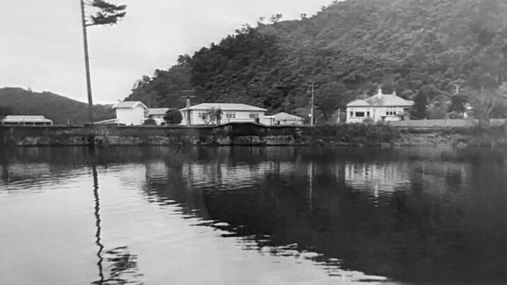 © 1969 - The Reidy Family - 