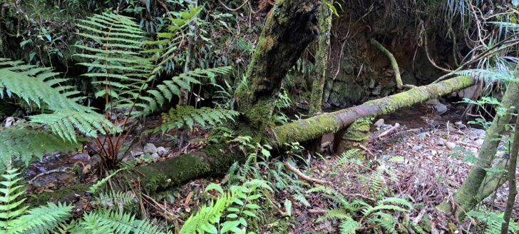 Skerretts Creek pipeline - 2024 - © wainuiomata.net