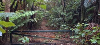 Old Whakanui Track & Gate - 2024 - © wainuiomata.net