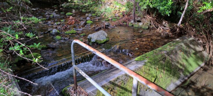 Small Weir on George Creek - 2024 - © wainuiomata.net