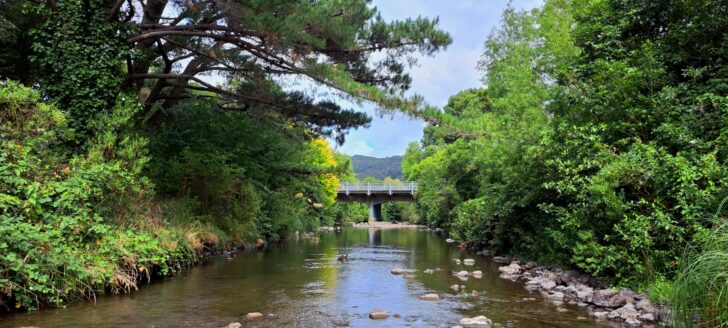 Wainuiomata River & Main Street Bridge - 2024 - © wainuiomata.net