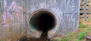 Hair Stream Tunnel - 2024 - © wainuiomata.net