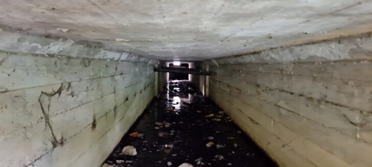 Hair Stream Tunnel - 2024 - © wainuiomata.net