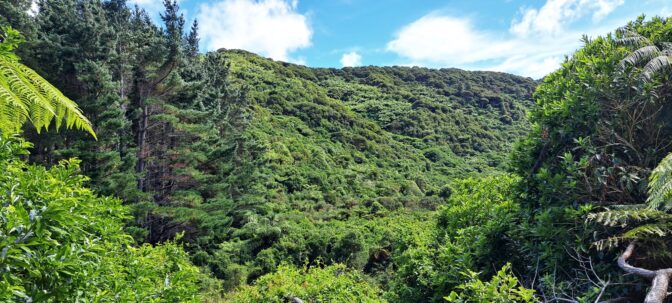 Five Mile Loop Track | WAINUIOMATA .NET