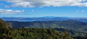View of Wellington from the Whakanui Track in 2024 - © wainuiomata.net