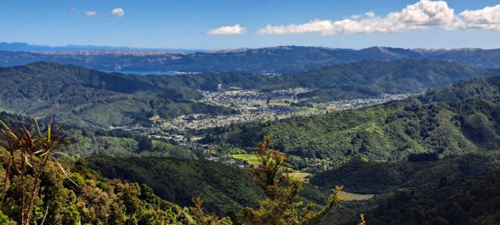 View of Wainuiomata Valley - 2024 - © wainuiomata.net