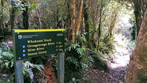 Hine River? Whakanui Track Sign in Wainuiomata - 2024 - © wainuiomata.net