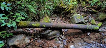 Pipe at Skerretts Creek in 2024 - © wainuiomata.net