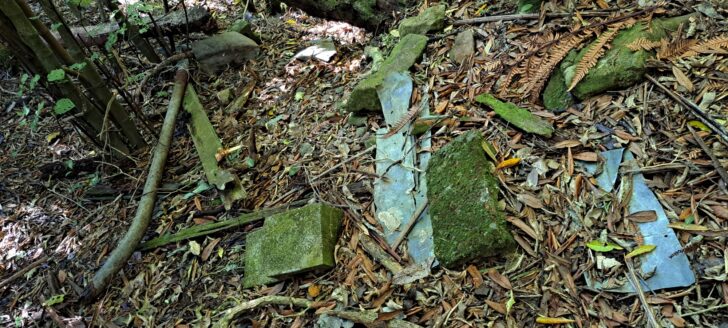 Black House ruins - 2024 - © wainuiomata.net