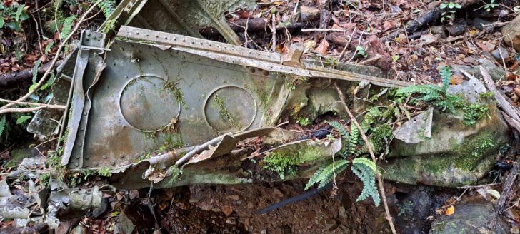 Kittyhawk Fuselage - 2024 - © wainuiomata.net