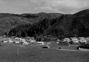 Hine-Road-Wainuiomata. in the 1950s
