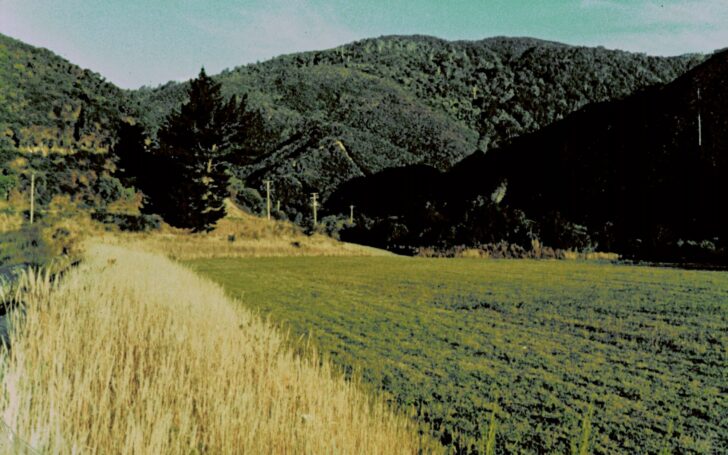 Waterwork Pipes around 1977.