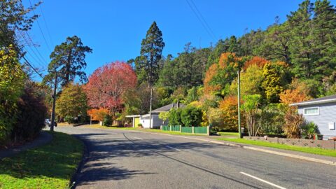 Hine Road Wainuiomata in Autumn - 2024 - © wainuiomata.net