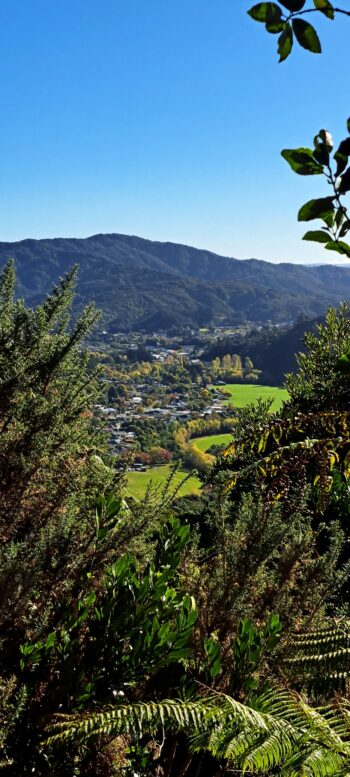 View from hillside behind Gums Loop - 2024 - © wainuiomata.net