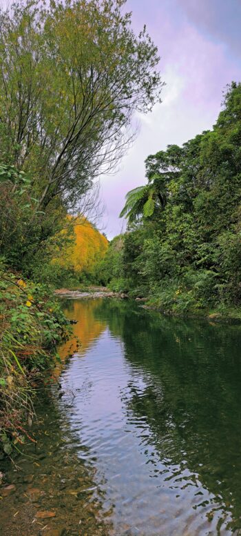 Autumn Colours Secret Pool & Wainuiomata River - 2024 - © wainuiomata.net