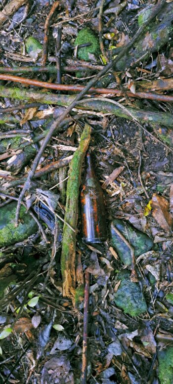 Old Beer Bottles in Waterworks Valley - 2024 - © wainuiomata.net