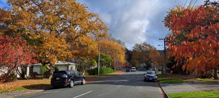 Hine Road Wainuiomata in Autumn - 2024 - © wainuiomata.net