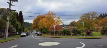 Poole Crescent & Homedale Road Wainuiomata in Autumn - 2024 - © wainuiomata.net