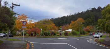 Homedale Road, Wainuiomata in Autumn - 2024 - © wainuiomata.net