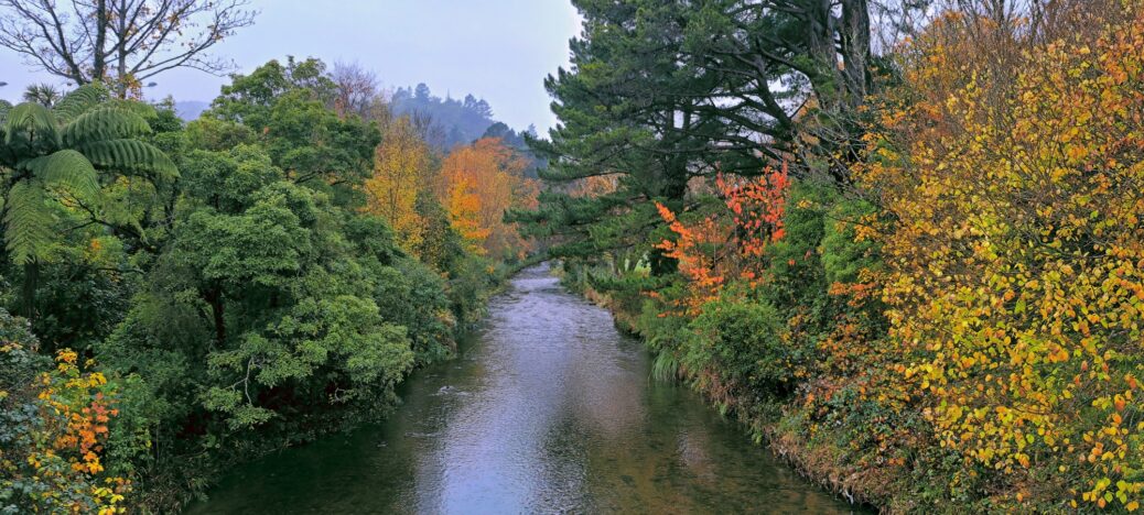 Autumn Colours Wainuiomata River - 2024 - © wainuiomata.net