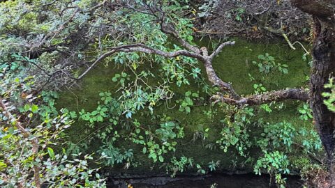 Concrete Wall at Wainuiomata River - 2024 - © wainuiomata.net