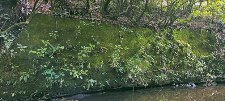Concrete Wall at Wainuiomata River - 2024 - © wainuiomata.net