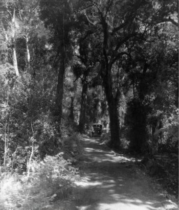 Coast Road near St Albans / Karaka Stream - c1925