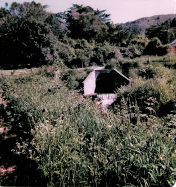 Skerretts Creek Tunnel -1983 - © Jeremy Foster