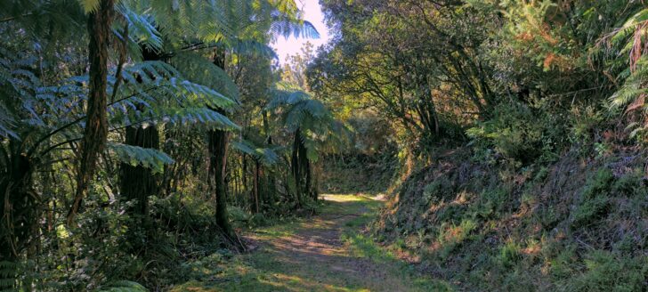 Tana Umaga Track - 2024 - © wainuiomata.net