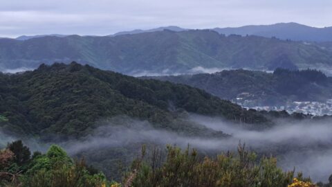 Misty day at the Western Hills in Wainuiomata - 2024 - © wainuiomata.net
