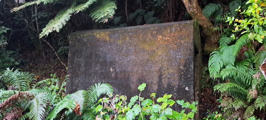 Concrete Hut - 2024 - © wainuiomata.net