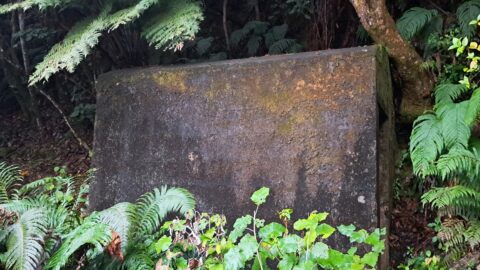 Concrete Hut - 2024 - © wainuiomata.net