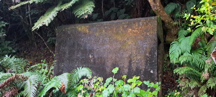 Concrete Hut - 2024 - © wainuiomata.net