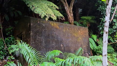 Meter House - 2024 - © wainuiomata.net