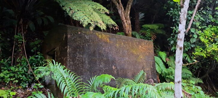 Meter House - 2024 - © wainuiomata.net
