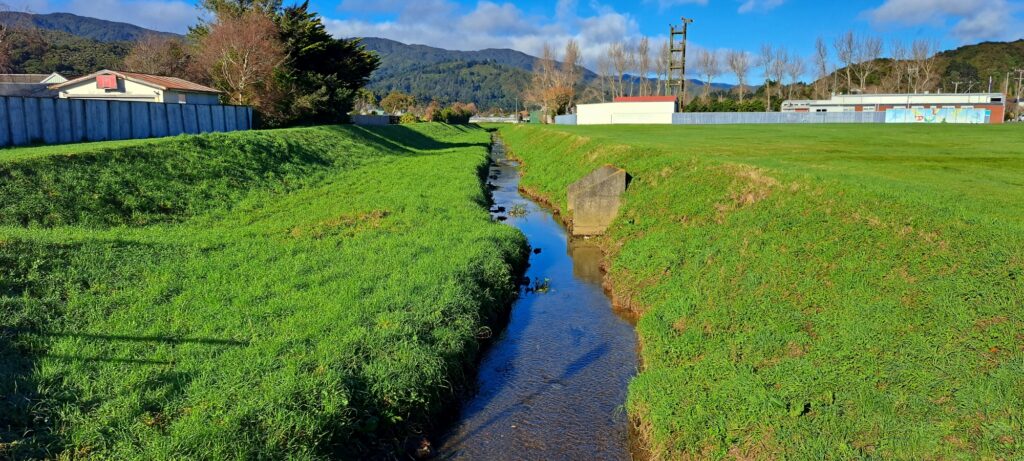 Black Creek - 2024 - © wainuiomata.net