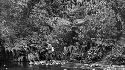 Rod fisherman at Wainui-o-mata, Wellington - 1888 - Halse, Frederick James, 1863-1936 : Collection of negatives. Ref: 1/2-010303-G. Alexander Turnbull Library, Wellington, New Zealand. /records/22595952