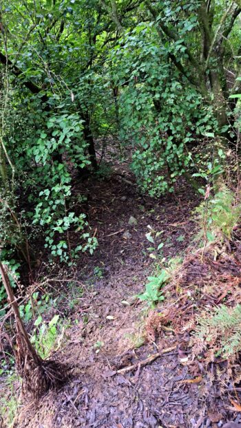 Access to an old track between Ultimate and Swingbridge pools - 2024 - © wainuiomata.net