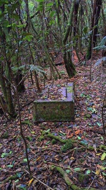 Old possum trap? - 2024 - © wainuiomata.net