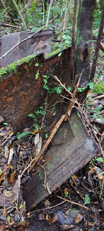 Artefacts suggesting location of an old hut - 2024 - © wainuiomata.net